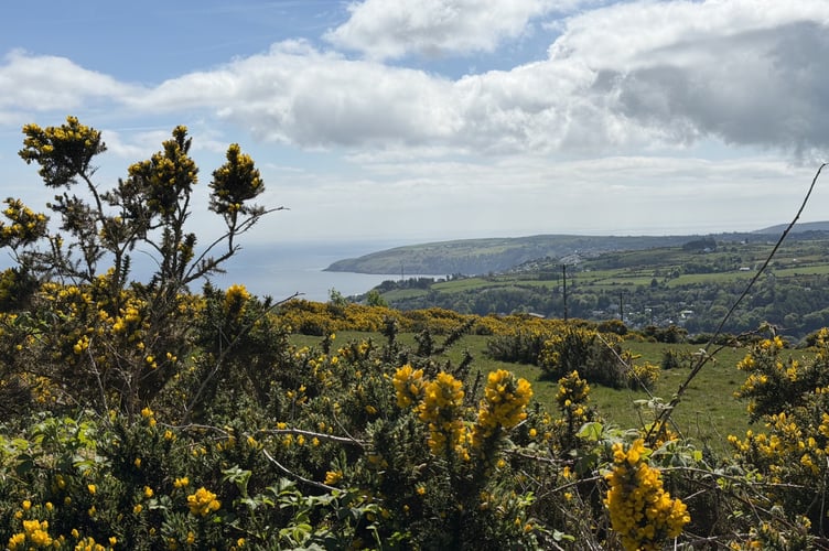 Views of Laxey bay along the Postman's Path