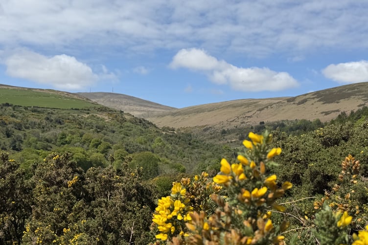 Views of Snaefell as you walk up towards Agneash