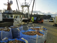 Windfarm will provide 'no positives for fishing industry'