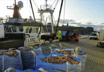 Offshore windfarm will provide 'no positives for fishing industry' says scientist