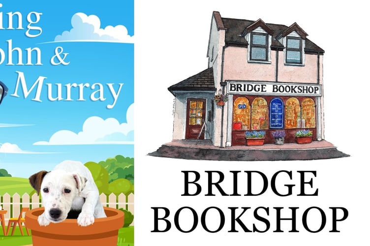 Bridge Bookshop book review