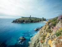 Explore exciting business and career opportunities on the island 