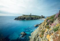 Explore exciting business and career opportunities on the island