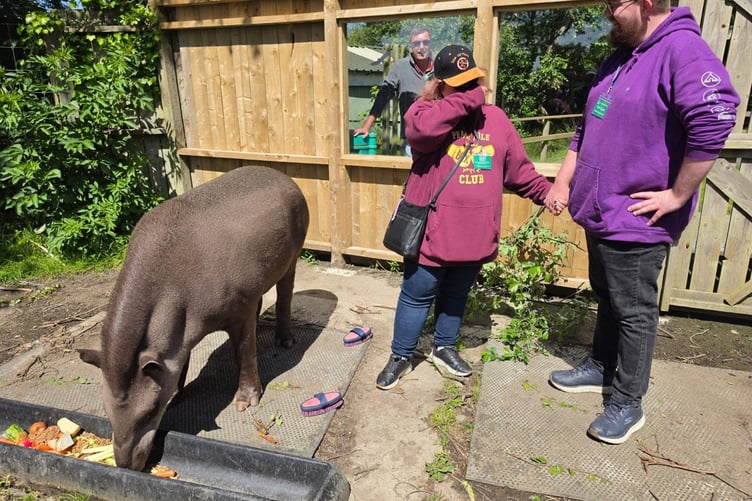 The proposal was witnessed by members of Marc’s family, including his uncle and grandmother, as well as staff at the wildlife park