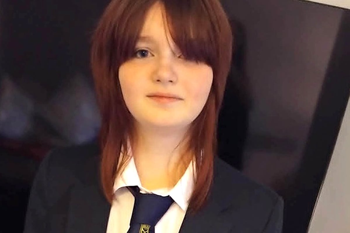 'Emily was just a baby...online bullying must take a lot of blame for her death'