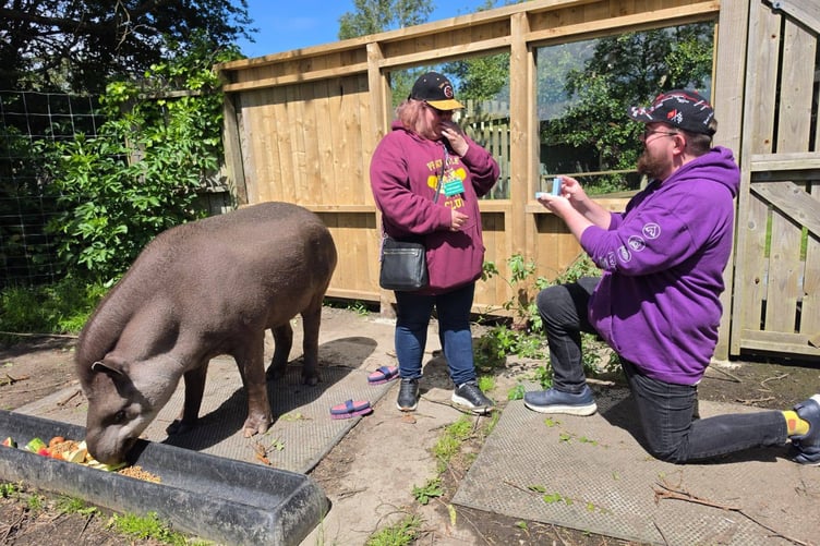 Marc asked Xanthe to turn around for a photo, before getting down on one knee in front of Louka the tapir
