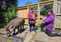 'I thought he was taking a photo': Woman's shock wildlife park proposal