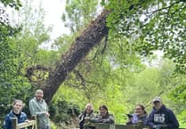 'Special' Isle of Man nature reserve reopens after being shut for almost a year