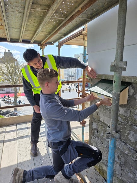 The swift nest box being fitted at One Market Square, Castletown