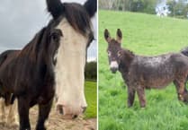 Charity share heartfelt tribute after passing of two of its residents