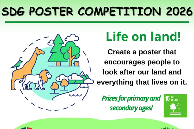 The SDG poster competition