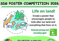 Island's young people invited to explore environmental themes in poster competition