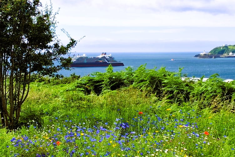 Janette Phair snapped this shot of recent visitor Seabourn Venture from Onchan Head