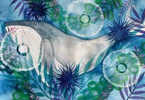New exhibition inspired by the sea being set to open