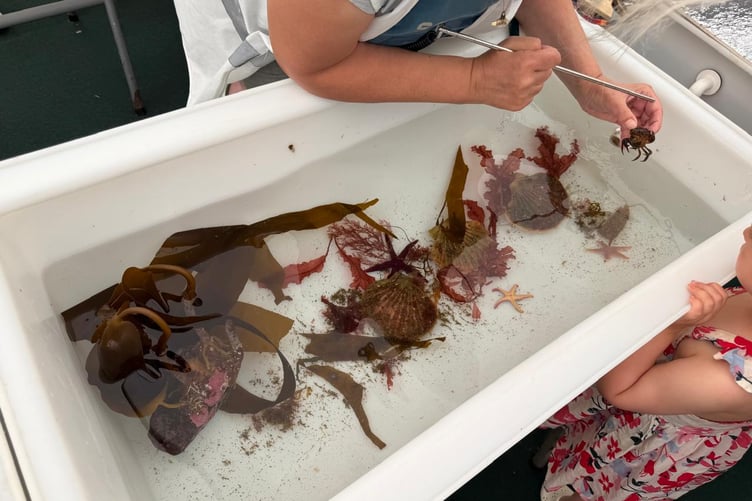 Specialists were on site to showcase the different marine species sharing the island with us
