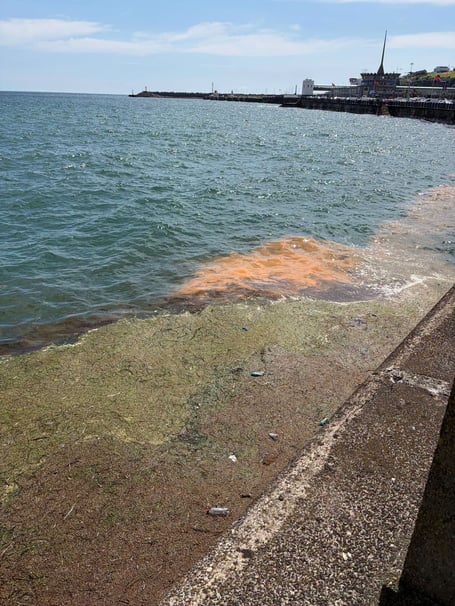 The orange water scene off the Manx coast has been revealed as an algae called noctiluca scintillans