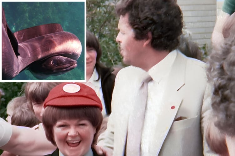The Krankies had a near-death encounter with a conger eel off the Manx coast