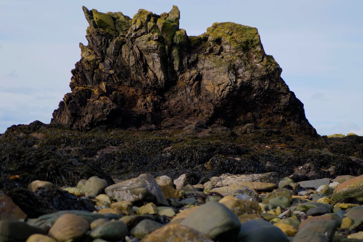New film released exploring the heart of Niarbyl