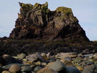New film released exploring the heart of Niarbyl 