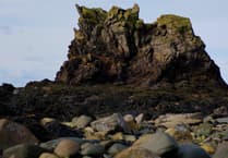 New film released exploring the heart of Niarbyl