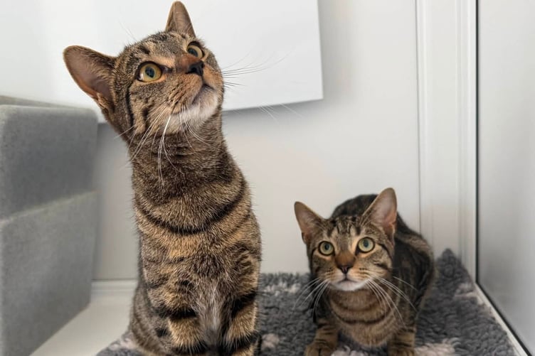 Flash and Maui