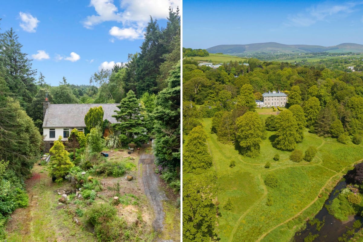 Two of the Isle of Man's most unusual properties hit the market