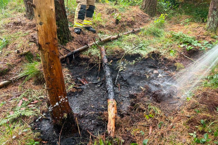 Fire at Stoney Mountain plantation could have spread