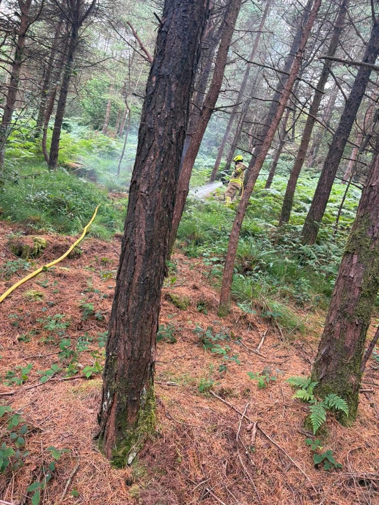 Firefighter tackles smouldering fire at Stoney Mountain plantation