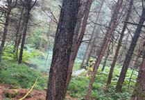 Plantation fire could have been much more serious