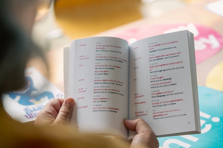 Books like Manx Words, published by Culture Vannin, are a handy learning resource for beginners