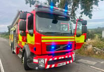 Crews tackle 15 metres of hedge fire