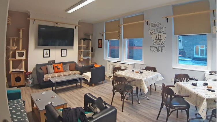 Customers have said they'll miss the island's only cat cafe when it shuts in October