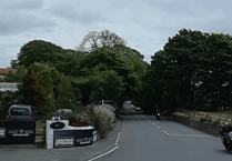 Emergency road closure as large tree is removed