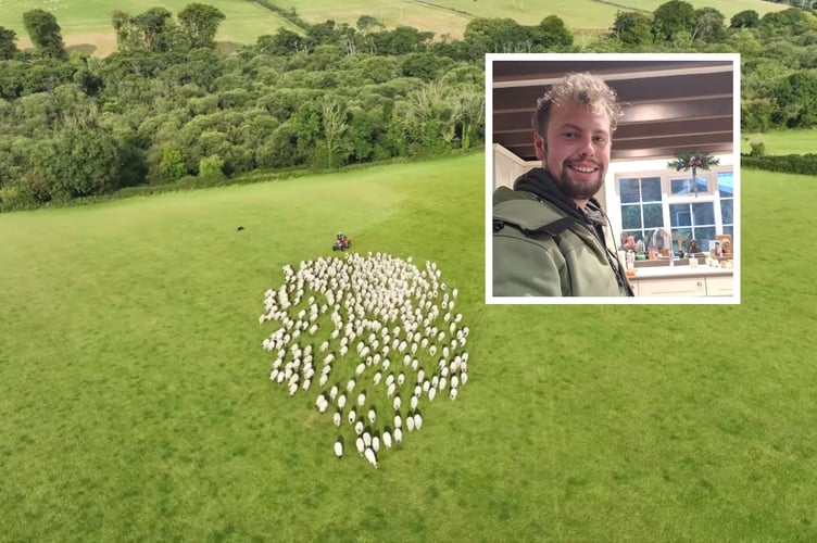 Sheep will go under the hammer in memory of much-loved farmer Harry Gillings, raising funds for Isle Stand Up To Suicide and highlighting the importance of looking after one another