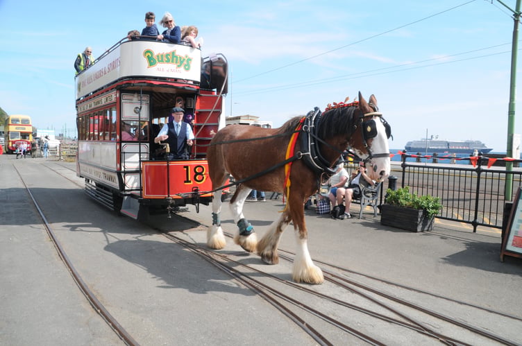 Tram 18 – the world’s oldest operating double-decker horse tram - sets off!