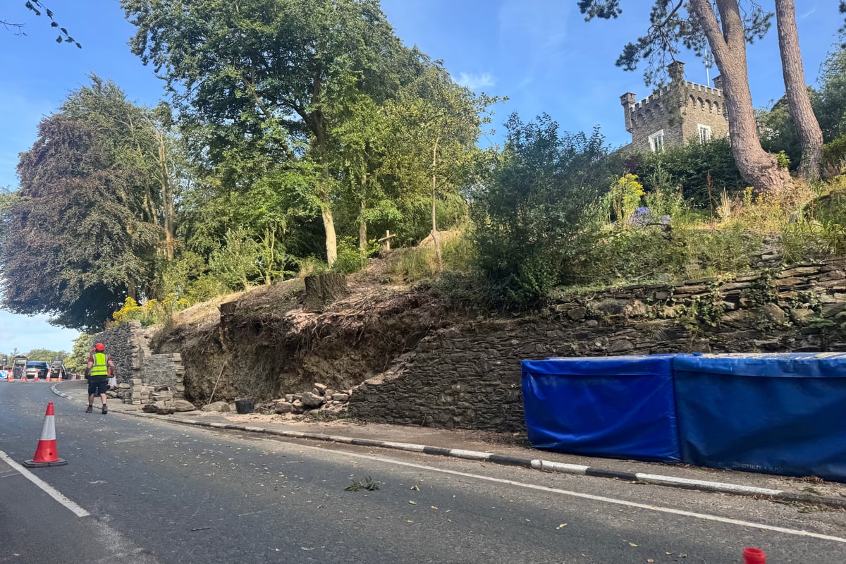 Questions raised after 170-year-old oak cut down on Isle of Man TT course
