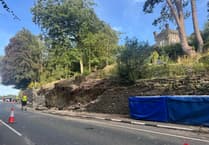 Questions raised after 170-year-old oak cut down on Isle of Man TT course