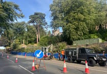Government say 170-year-old tree had to be felled after safety assessment