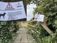 Probe into fish deaths following blaze ends
