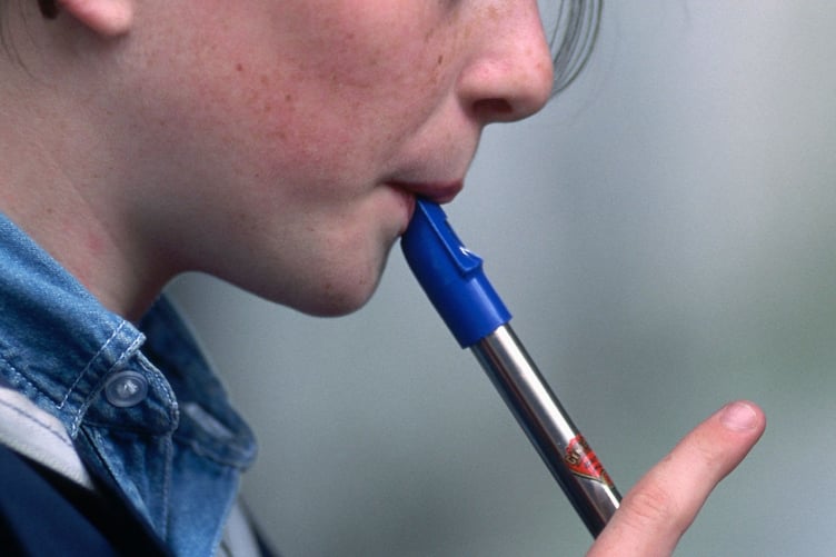 Tin whistle