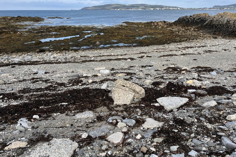Pottery fragments from the ship's cargo continue to be washed on Manx beaches
