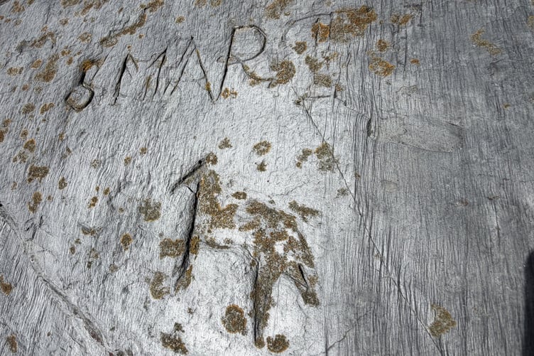The horse carving at Perwick Bay with 'Smart' written above