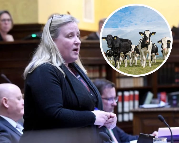 Dr Michelle Haywood, who previously represented Rushen in the House of Keys and served as Infrastructure Minister, has voiced her views on the matter