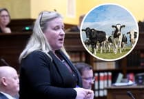 Former minister questions farmers’ union over its criticism of department