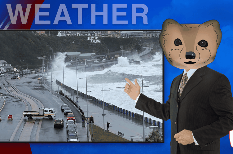 Gusts of up to 70mph are expected over the weekend