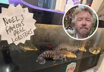 Noel Edmonds ‘Lobstergate’ row helped sales soar by 40%, says farm shop owner
