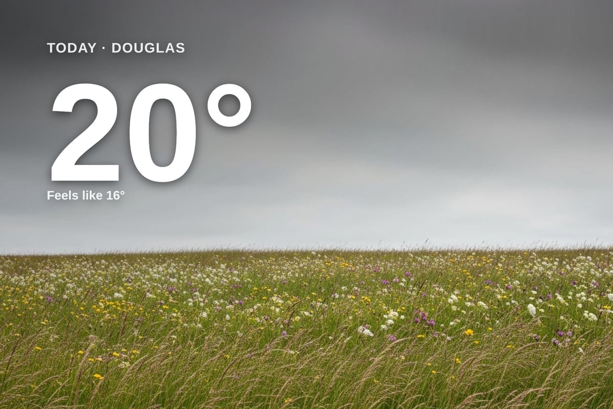Douglas weather: overcast Tuesday with showers likely at times and a high of 20°C
