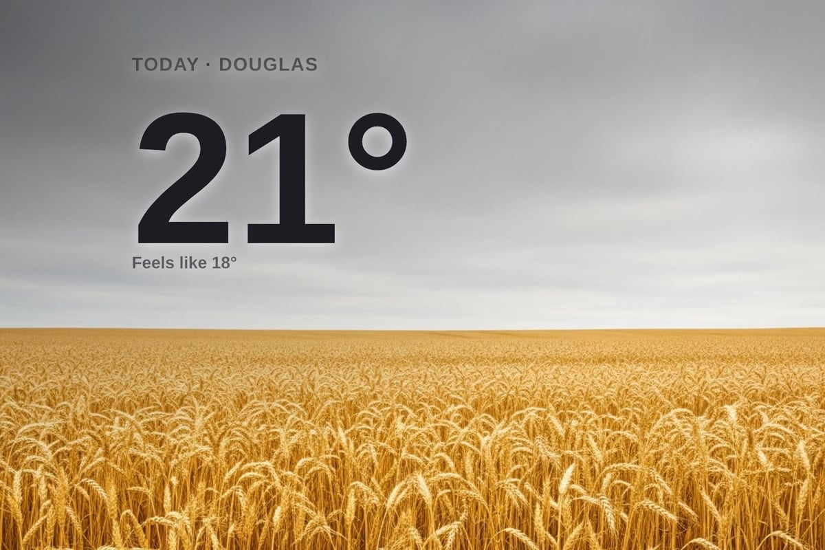 Douglas weather: overcast Tuesday with little chance of rain and a high of 21°C