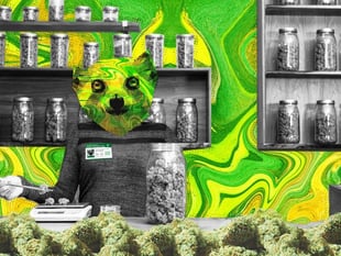 Decriminalisation of Cannabis on the Isle of Man