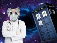 Dr Who? When to trust online health information